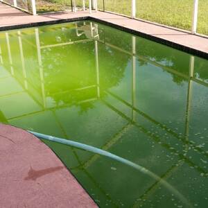 4 Steps to Floccing your pool