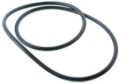 Quiptron O ring for S2000/D305 filter tank - 5166500